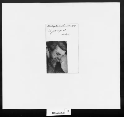 TKK/Wa208, Wasastjerna, Torsten (?), 31.12.1918
