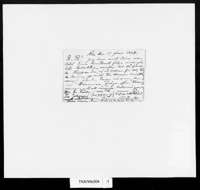 TKK/We304, Westerholm, Victor, 17.06.1904
