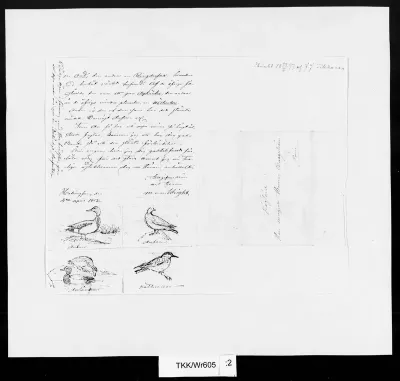 TKK/Wr605, Wright, Magnus von, 4.4.1852
