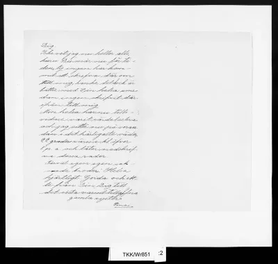 TKK/Wr851, [von Wright,] Pina, 03.08.1904