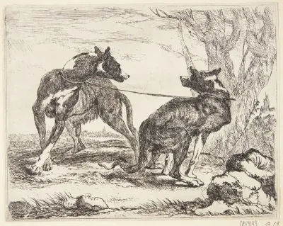 To greyhounds
