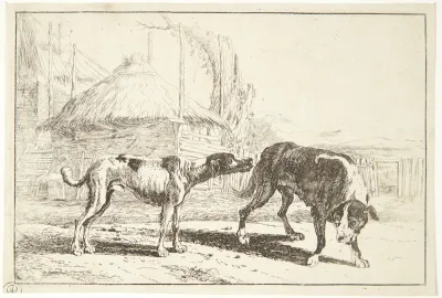 To hunde