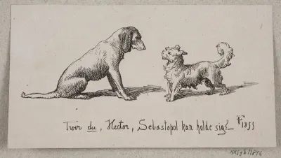 To hunde