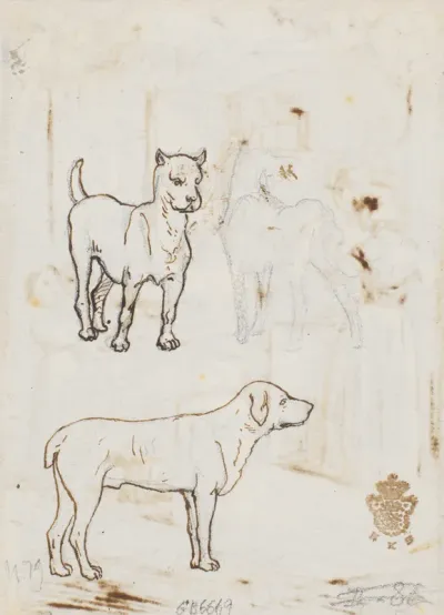 To hunde