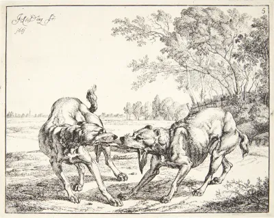 To hunde, der kæmper om et stykke kød