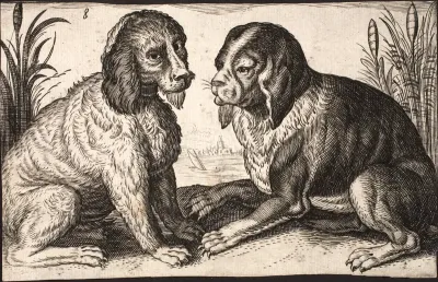 To hunde ved en søbred