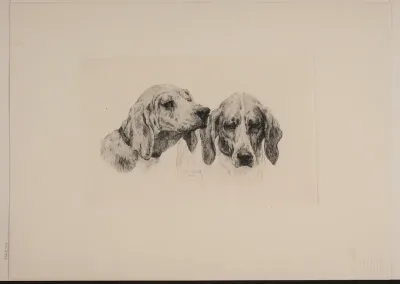 To hundehoveder