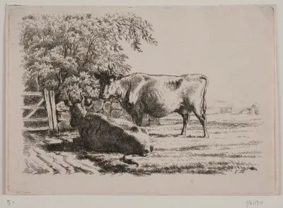 To køer