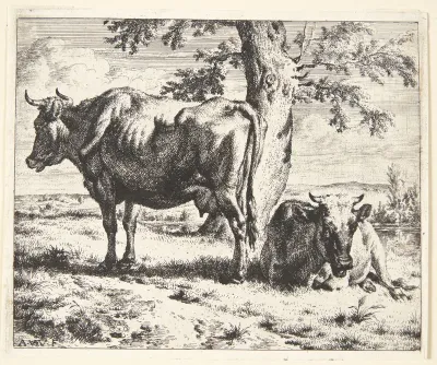 To køer under et træ