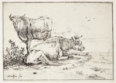 To køer