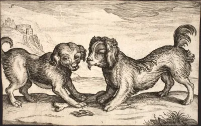 To små hunde