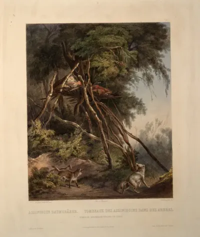 Tombs of the Assiniboin Indians on Trees