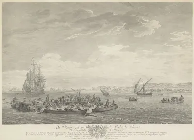 Tonijnvisserij in Bandol