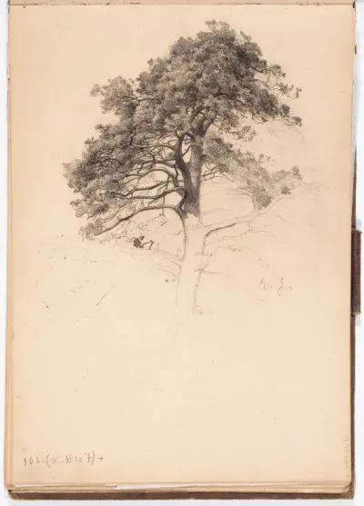 Top of a Pine, page from Järnefelt's sketchbook