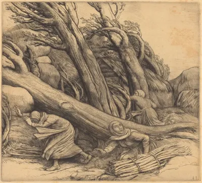 Tornado (Le typhon)