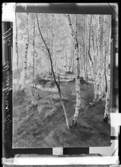 Torsten Wasastjerna: "Koivumetsä", ajoitus n. 1889-1899