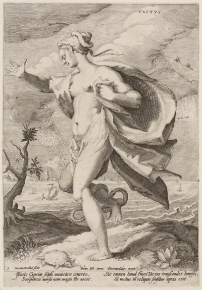 Touch, from "The Five Senses"