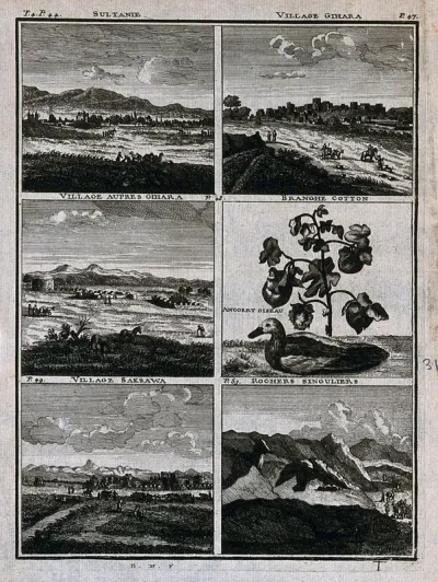 Towns, cotton plant, bird and rock formations of Persia, in separate plates