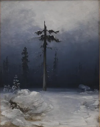 Træ i vinterskov
