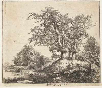 Tre egetræer