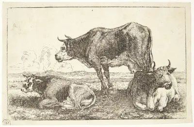 Tre køer