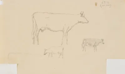 Tre køer