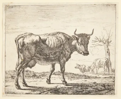 Tre køer