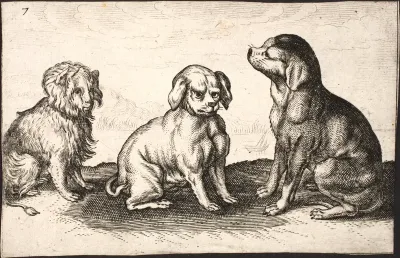 Tre små hunde
