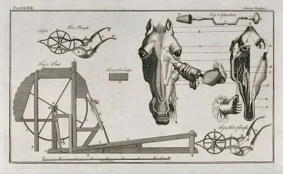 Treatment of a horse with glanders; examples of ploughing machinery and a flax spinning machine (?)