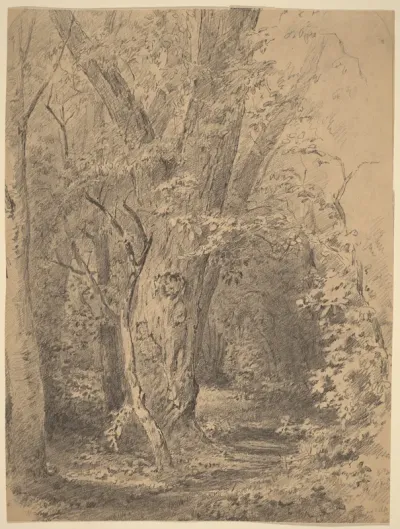 Tree and Foliage