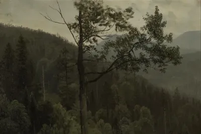 Tree Covered Mountains