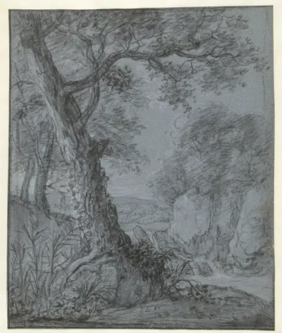 Tree in a hilly landscape with a waterfall and rocks