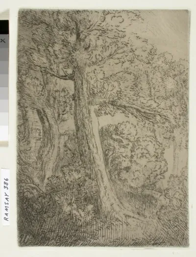 Tree Landscape