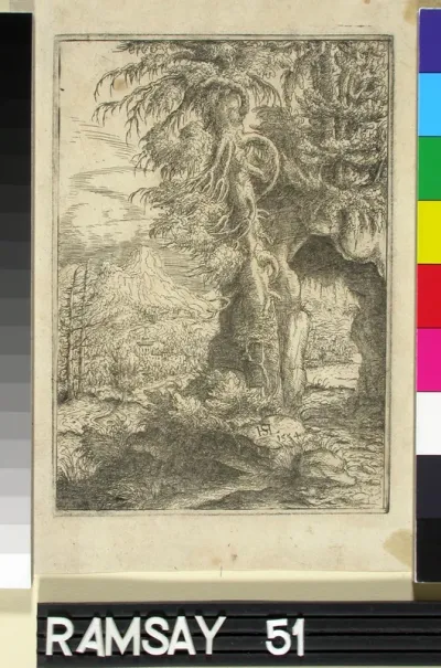 Tree Landscape
