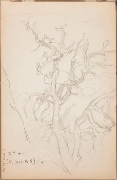 Tree, Mountains in the Background