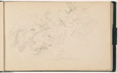 Tree, sketch