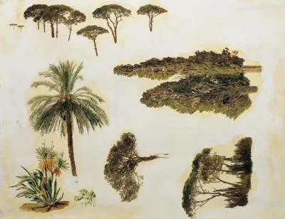 Tree studies from Rome)