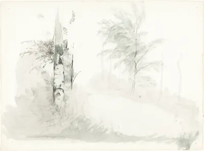 Tree Study