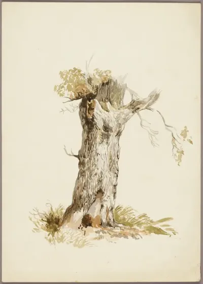 Tree Trunk I