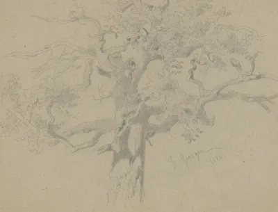 Tree with Knotted Branches