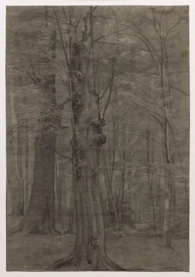 Trees