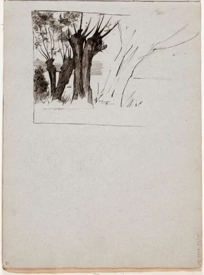 Trees