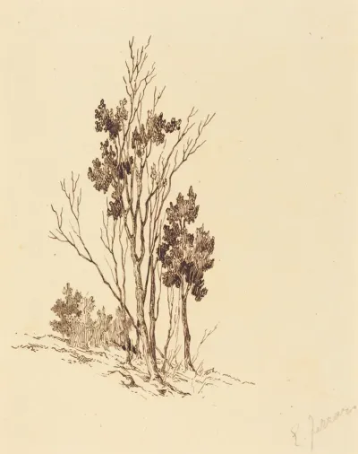 Trees