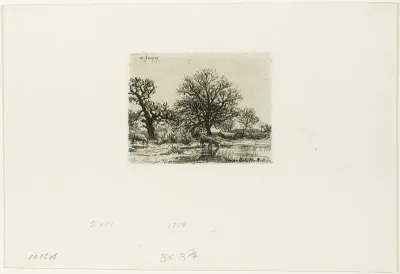 Trees and Cows near a Pond
