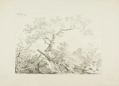 Trees and Rocks by Water