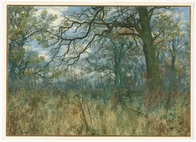 Trees and Undergrowth