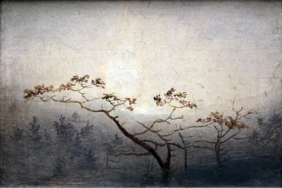 Trees at Sunrise in Autumn