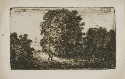 Trees Bordering a Road