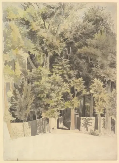 Trees by an entrance to a park