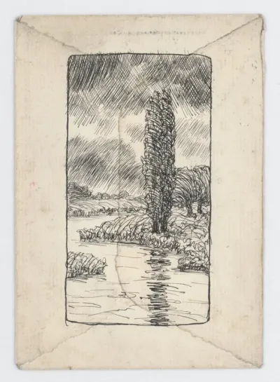 Trees by the River